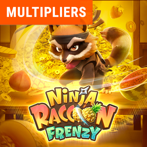 Ninja Raccon